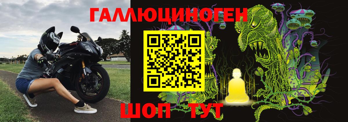 Псилоцибиновые грибы прущие грибы  Вход с VPN  Ковров 