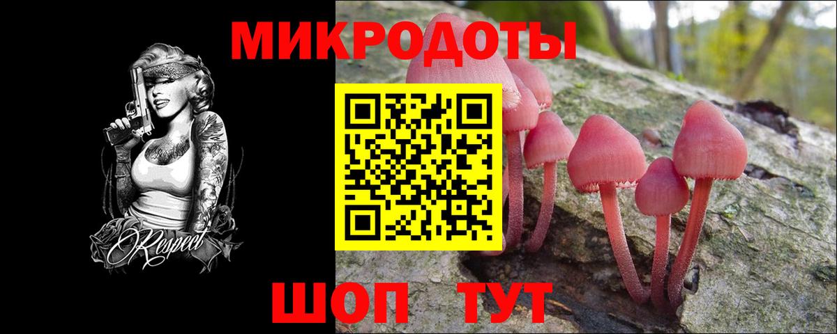 Псилоцибиновые грибы Psilocybe Ковров