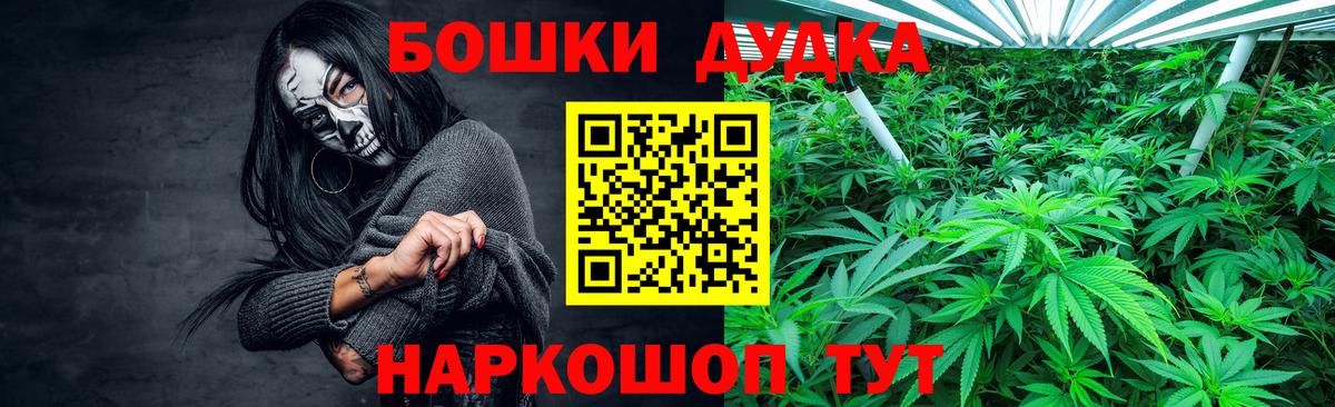 Канабис Bruce Banner  Каннабис планчик  Вход с VPN  Ковров  Марихуана OG Kush  МАРИХУАНА сатива 